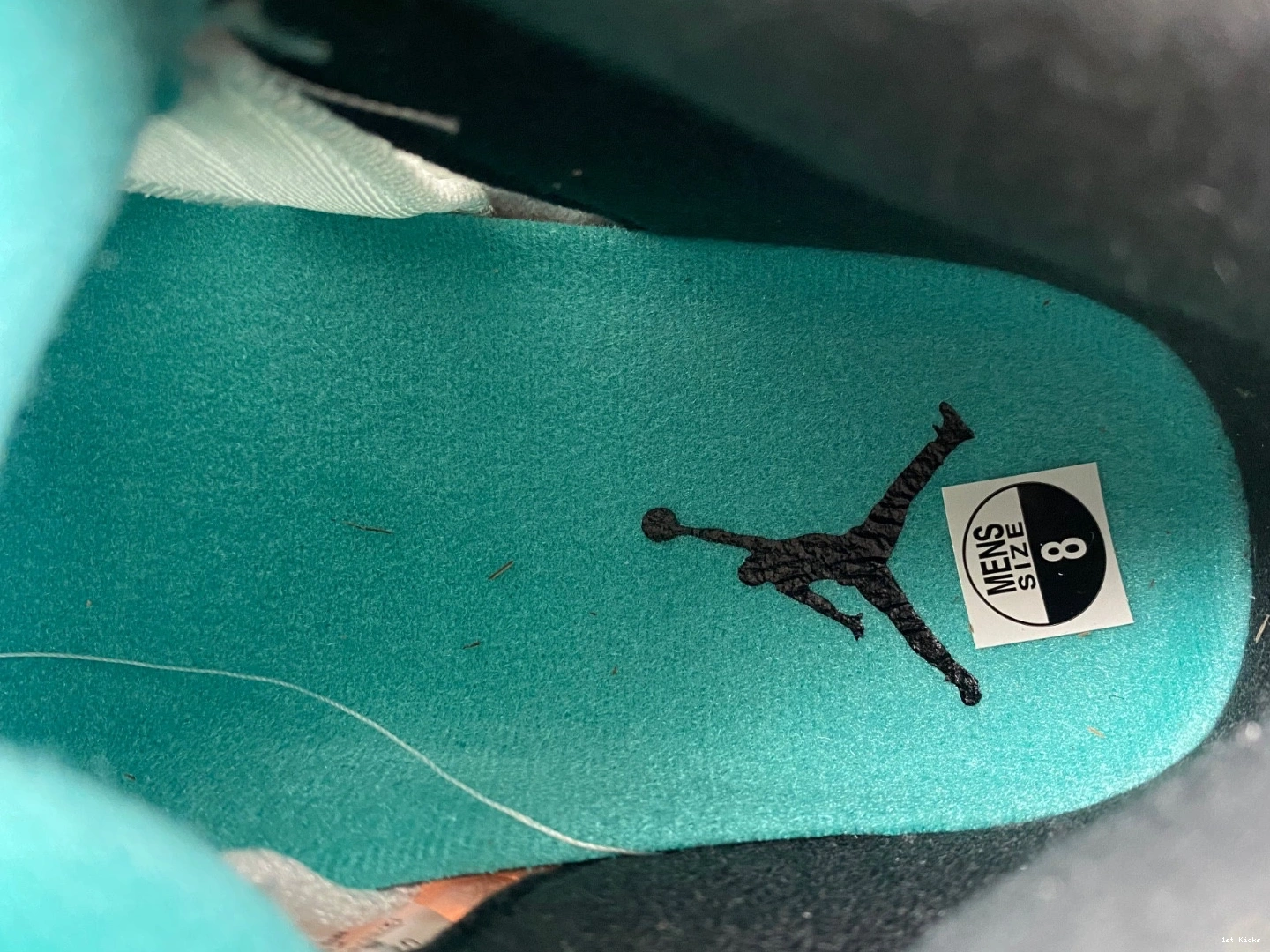 5 Grape - Men's 314259-131 (2006) Jordan Retro 0103